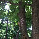 ���� ���������, ���������, 45 ��� - ��������� 12 ������� 2018 � ������ ���� ����������