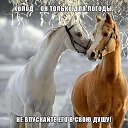 ���� Aida, �������� - ��������� 7 ������� 2019 � ������ ������ ��������