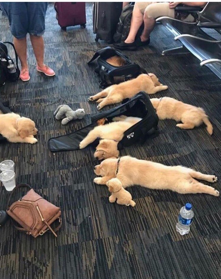 ,   ,     