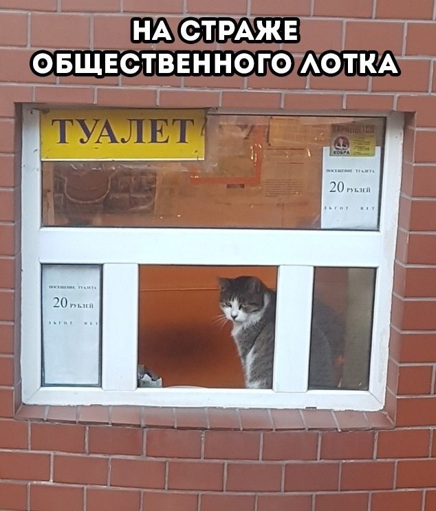   - 4  2018  16:56
