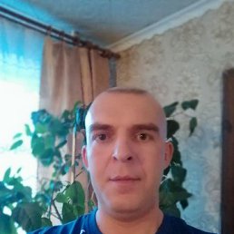 ���� ����, �����������, 41 ��� - ��������� 28 ������� 2019