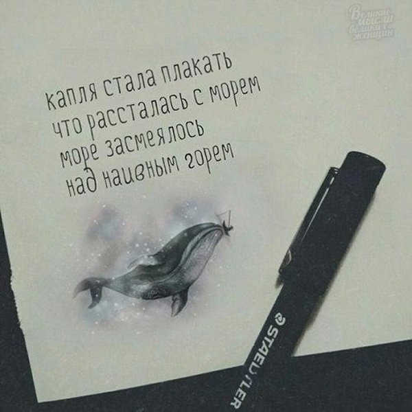     - 15  2018  16:50