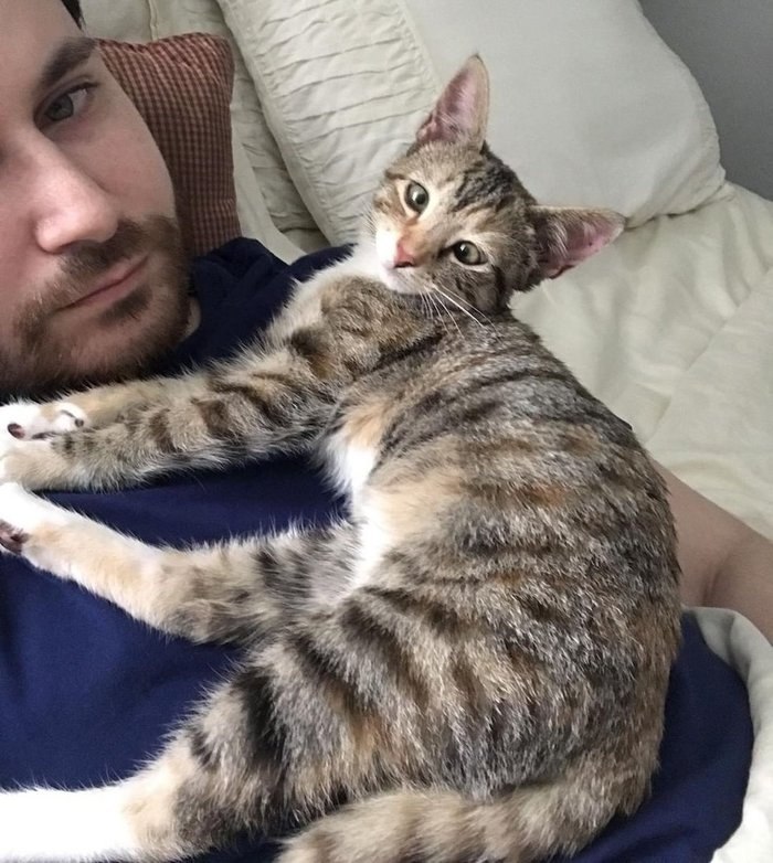 #@catism.   ,   ,     ,  ... - 4