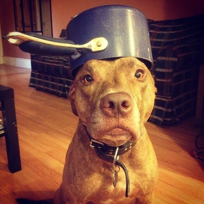   .: stuffonscoutshead (instagram) - 2