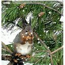  , -, 50  -  16  2018