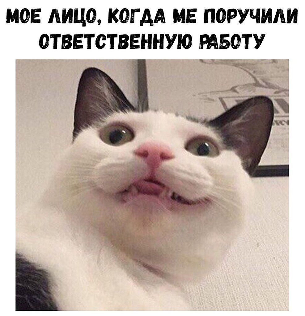    :D - 8  2018  16:23