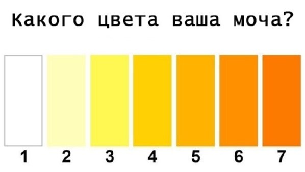  . e  e   ,  e pcc    e ee.  ...