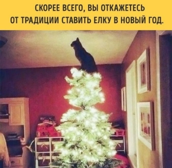   ,    -        - 3