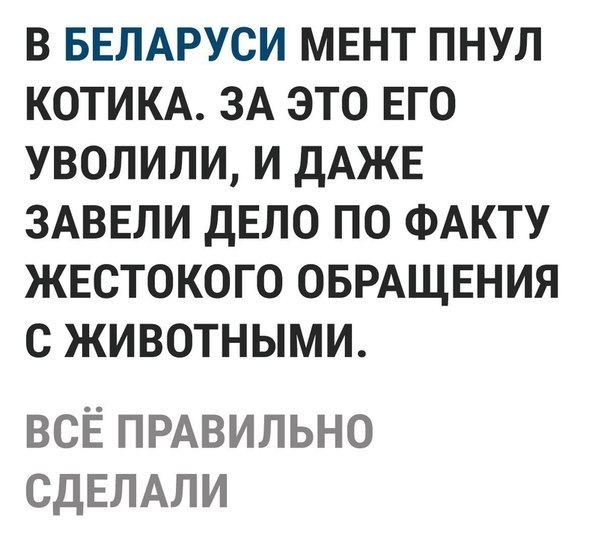    - 19  2019  03:47