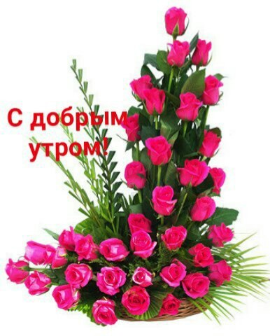  (   ) - 25  2019  05:51