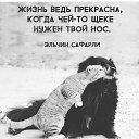  Vitalk@,  -  16  2018    