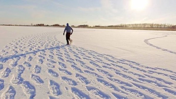 Саймон Бек – художник, который целыми днями топчет Сибирь. Он просто ходит по снегу и создает ... - 5