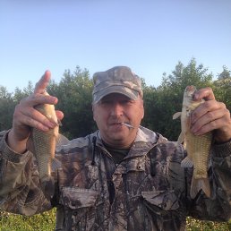 ����, ������ ��������, 61 ���