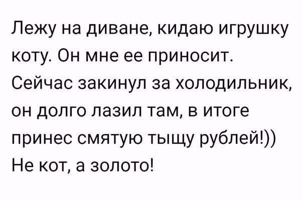    - 7  2019  16:47