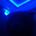 ���� ������, ����������, 21 ��� - ��������� 23 ������ 2018 � ������ ���� ����������