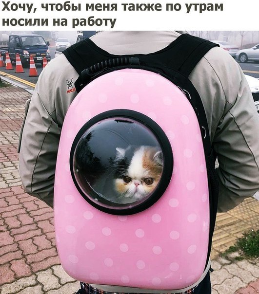    - 2  2019  16:49