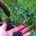  , , 60  -  30  2018    ,  .  2018.