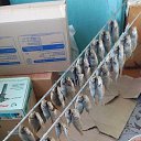 ���� �������, ���������, 68 ��� - ��������� 17 �������� 2018 � ������ ���� ����������