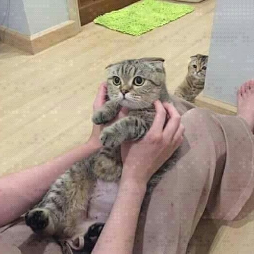   :   :'3