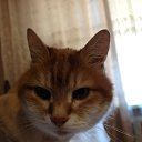 ���� �������, ������, 40 ��� - ��������� 17 ���� 2018 � ������ ���� ����