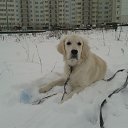 ���� ������, ������, 57 ��� - ��������� 18 ������� 2018 � ������ ���� ����������