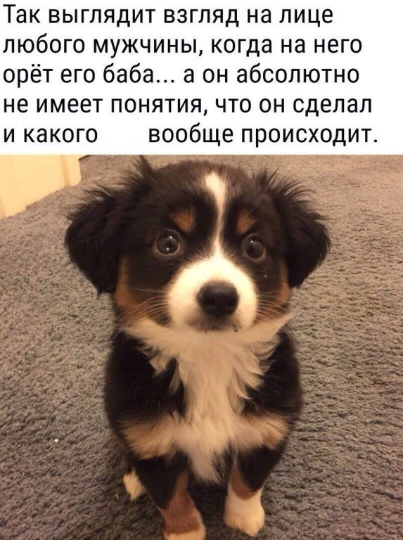 )))