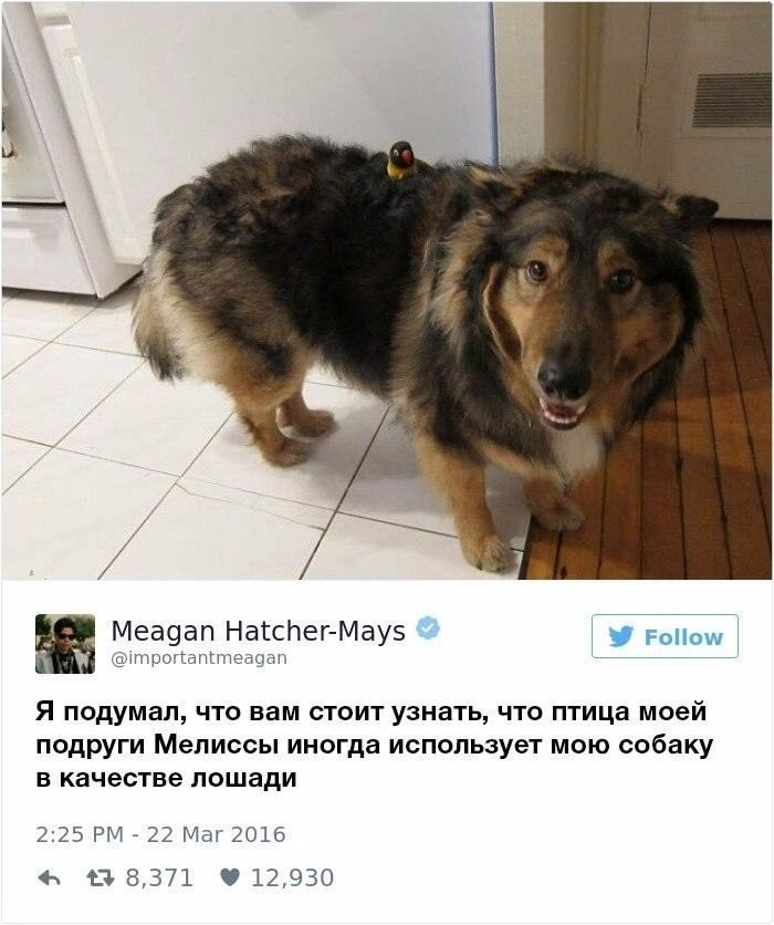     ? - 2