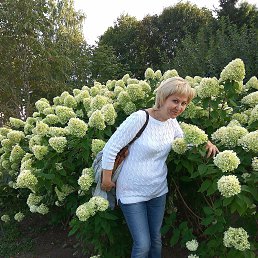 ���� Ninely, ������, 60 ��� - ��������� 24 ������� 2019