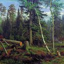   , -, 62  -  25  2018    