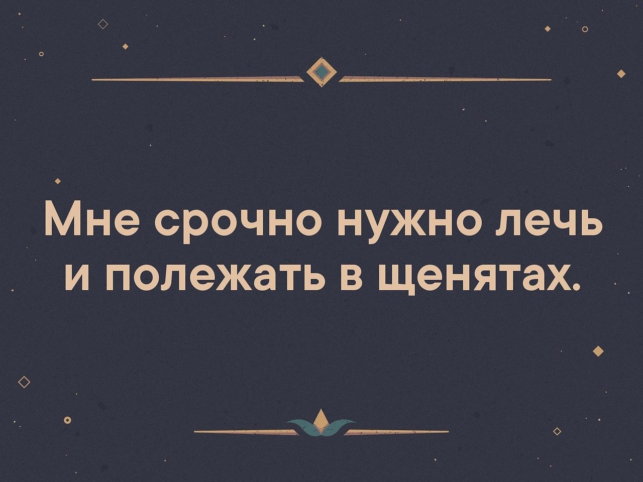   - 18  2019  03:46