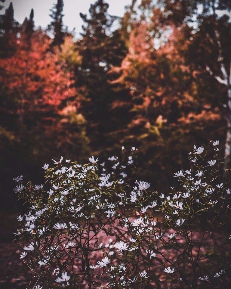    ,    - - 4