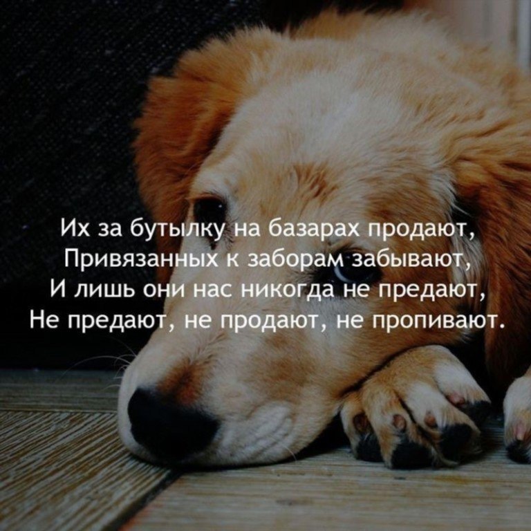 - 13  2018  16:33