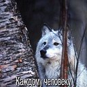 ���� ������, ���������, 44 ���� - ��������� 31 ������� 2018