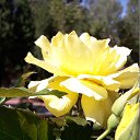 ���� ���������, ������ - ��������� 14 ������� 2018 � ������ ����ۻ