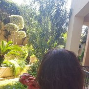 , 45 , 