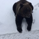 ���� ���������, ���������, 45 ��� - ��������� 12 ������� 2018 � ������ ���� ����������