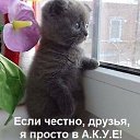   ,  -  16  2019    
