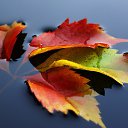 ���� Aleksa, ������, 30 ��� - ��������� 17 ������� 2018 � ������ ������ ��������