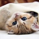 ���� �����, ������������ - ��������� 12 �������� 2018 � ������ ������ ��������� � �����������...�