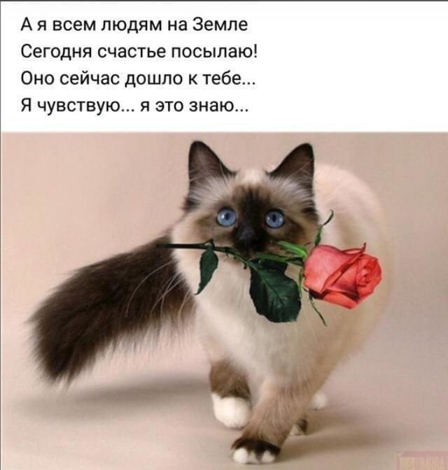  - 31  2019  19:28