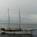 ���� ����, �����-���������, 43 ���� - ��������� 30 ������� 2018 � ������ ���� ������