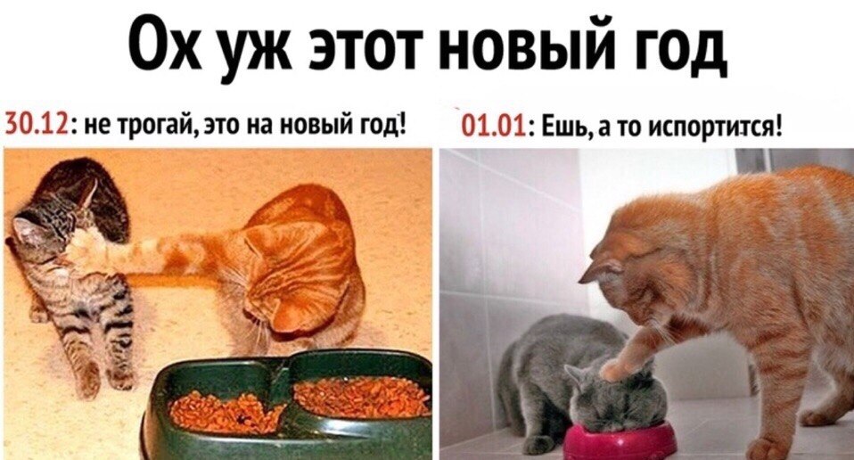   - 14  2018  13:03
