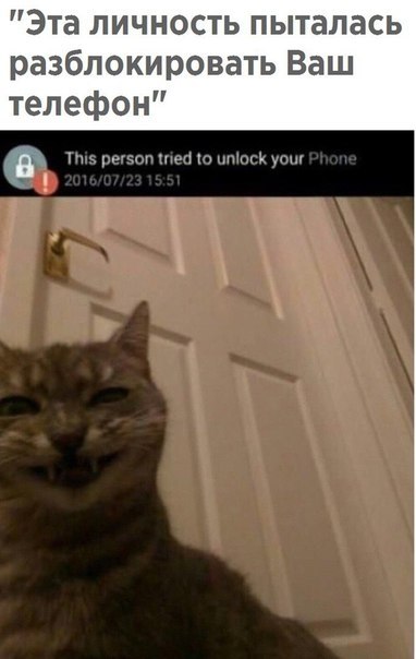    - 14  2019  16:53