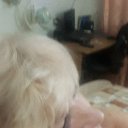 ���� ������, ���������, 65 ��� - ��������� 28 ���� 2018 � ������ ���� ����������