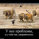 ���� ����, ������ - ��������� 29 ���� 2018 � ������ ���� ����������