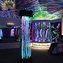 ���� ���������, �������, 74 ���� - ��������� 3 ������� 2019 � ������ ���� ����������