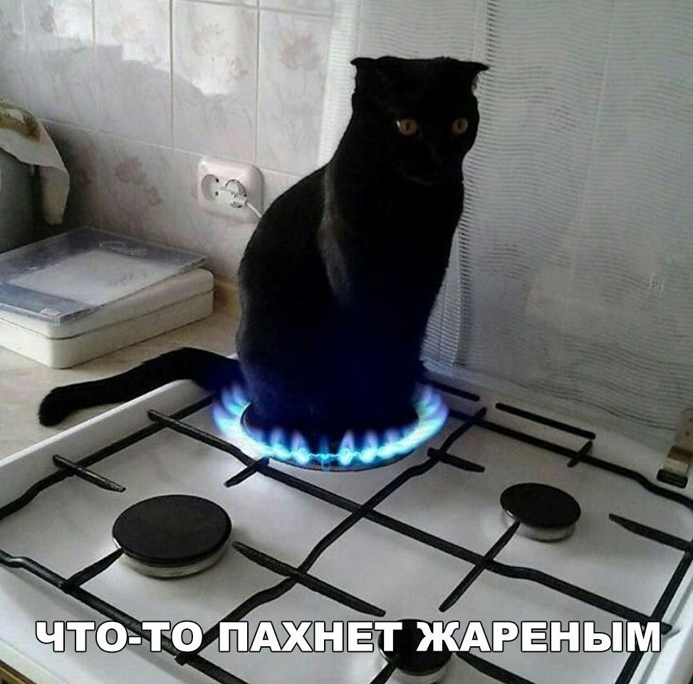    :D - 24  2018  16:40