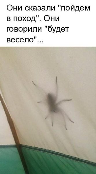   - 7  2018  16:43