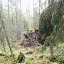 ���� ��������, �����������, 41 ��� - ��������� 13 ������� 2018 � ������ ������ ��������