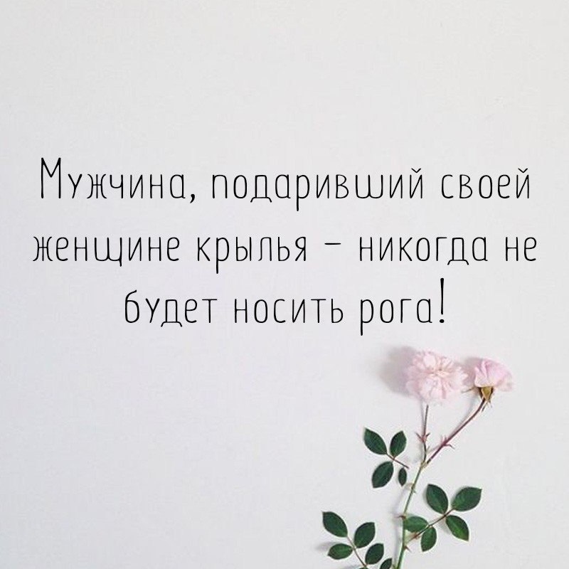   - 13  2018  16:46
